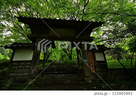 高源寺の青紅葉 115003901