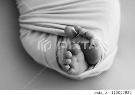 The tiny foot of a newborn baby. Soft feet of a new born in a wool blanket. Close up of toes, heels and feet of a newborn. Black and white Macro photography. The tiny foot of a newborn baby. Soft feet of a new born in a wool blanket. Close up of toes, heels and feet of a newborn. Black and white Macro photography. 115003920