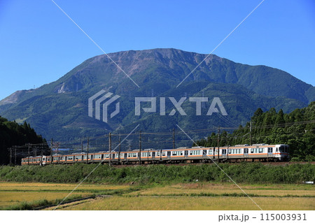 伊吹山と東海道線313系普通列車 115003931
