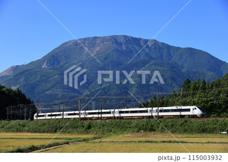 伊吹山と特急しらさぎ 115003932