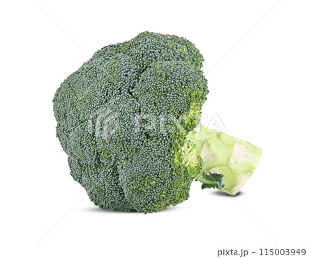 fresh broccoli isolated on white background fresh broccoli isolated on white background 115003949