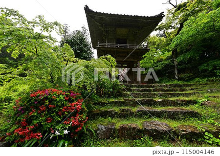 新緑の岩瀧寺 新緑の岩瀧寺 115004146