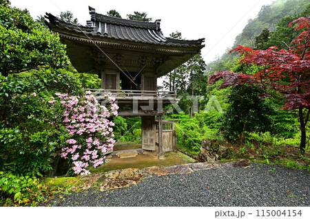 新緑の岩瀧寺 新緑の岩瀧寺 115004154