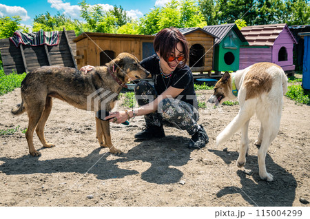 Dog at the shelter. Animal shelter volunteer feeding the dogs Dog at the shelter. Animal shelter volunteer feeding the dogs 115004299