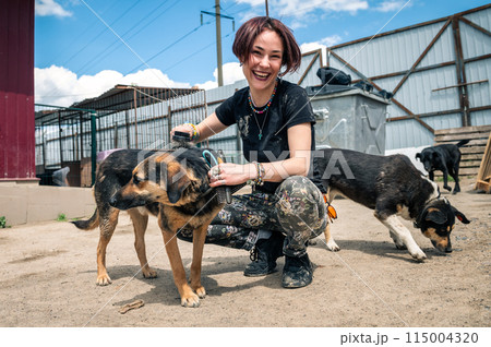 Dog at the shelter. Animal shelter volunteer feeding the dogs. 115004320