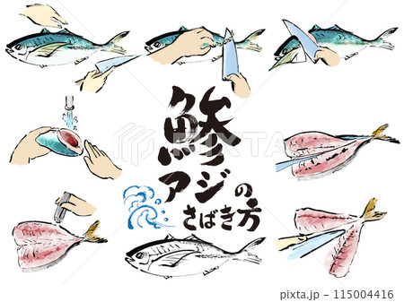 鯵（アジ）を下ろす　魚をさばく手順　手描き和風イラストセット 115004416