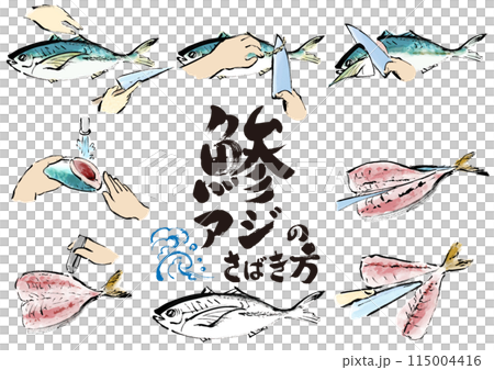鯵（アジ）を下ろす　魚をさばく手順　手描き和風イラストセット 115004416