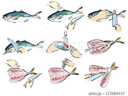 鯵（アジ）を下ろす　魚をさばく手順　手描き和風イラストセット 115004417