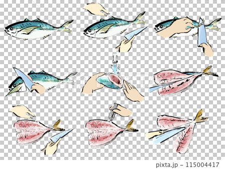 鯵（アジ）を下ろす　魚をさばく手順　手描き和風イラストセット 115004417