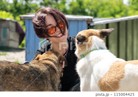 Dog at the shelter. Animal shelter volunteer takes care of dogs. Dog at the shelter. Animal shelter volunteer takes care of dogs. 115004425