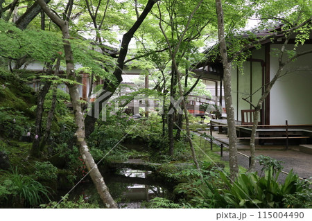 京都 常寂光寺境内の新緑 京都 常寂光寺境内の新緑 115004490