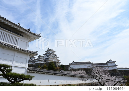 菱の門東方石垣から見た姫路城と桜 菱の門東方石垣から見た姫路城と桜 115004664