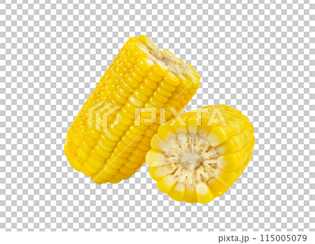 sweet corn isolated 115005079