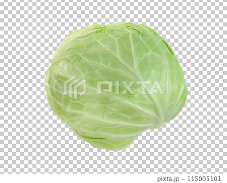cabbage isolated,Green leaves pattern 115005101