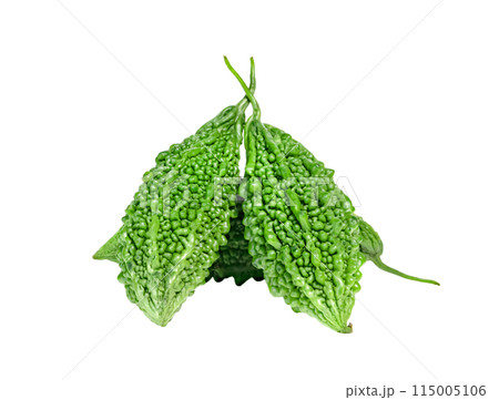 Bitter gourd or Bitter melon or Momordica charantia isolated Bitter gourd or Bitter melon or Momordica charantia isolated 115005106