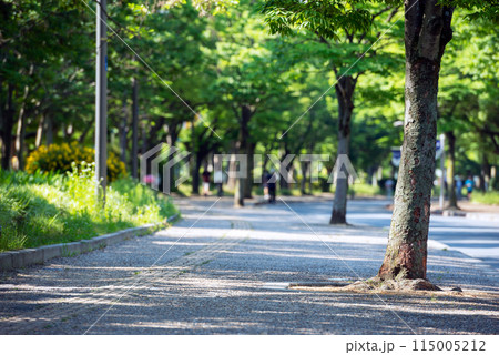 晴れの長居公園 115005212