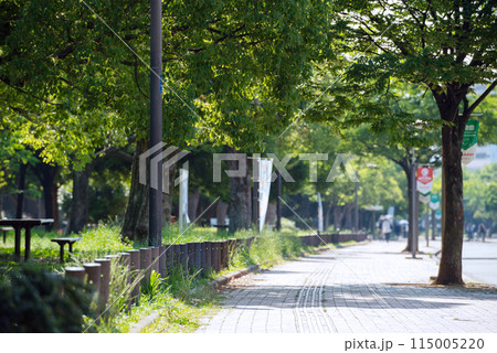 晴れの長居公園 115005220