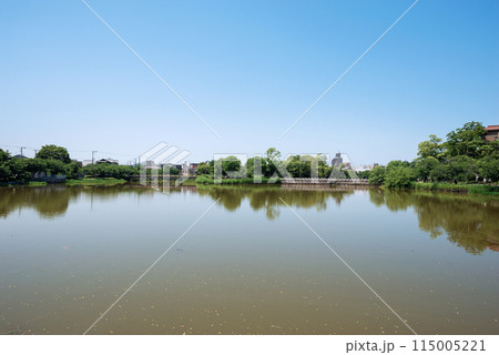 晴れの万代池公園 115005221