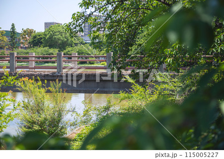 晴れの万代池公園 115005227