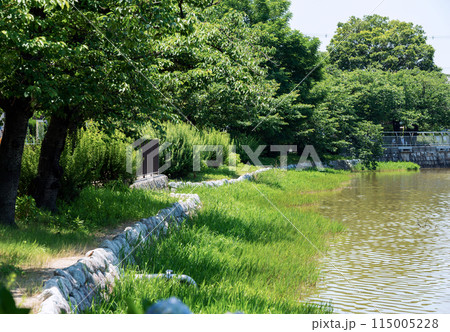 晴れの万代池公園 115005228
