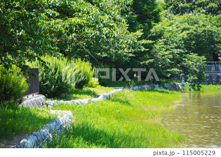 晴れの万代池公園 晴れの万代池公園 115005229