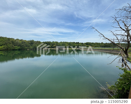 三重県 いなべ公園の風景 三重県 いなべ公園の風景 115005290