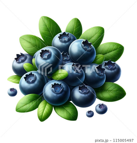 fresh black currant with leaf isolated on white background 115005497