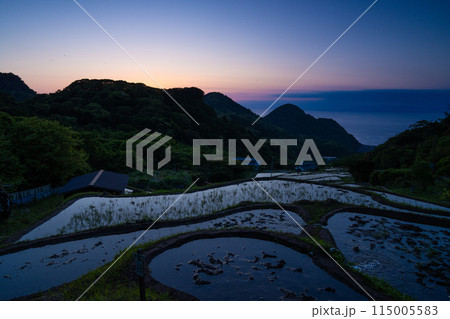 西伊豆　マジックアワーの石部の棚田 115005583