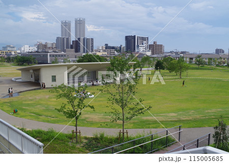 泉大津シーパスパークの景色 泉大津シーパスパークの景色 115005685