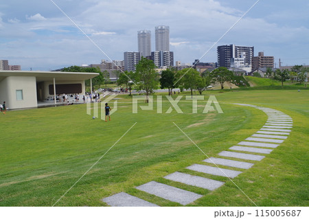 泉大津シーパスパークの景色 泉大津シーパスパークの景色 115005687