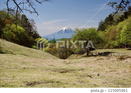 丸川峠から見る富士山 115005861