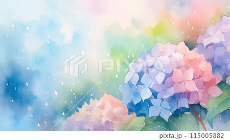 紫陽花 紫陽花 115005882