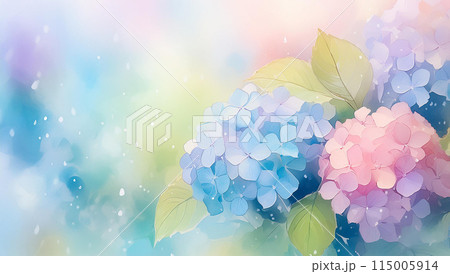 紫陽花 紫陽花 115005914