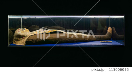 ancient Egyptian mummy in a museum showcase on a dark background ancient Egyptian mummy in a museum showcase on a dark background 115006056