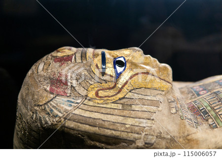 mask of ancient Egyptian mummy in a museum showcase on a dark background 115006057