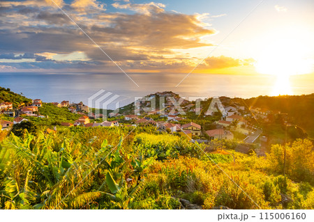 Taditional Madeiran houses in Funchal behind a banana plantation and ocean sunset. 115006160