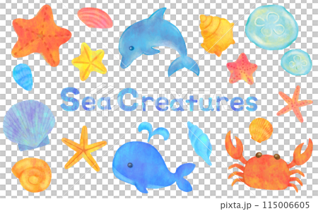 海の生き物のイラストセット 115006605