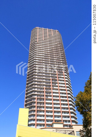 阿波座界隈の高層マンション 115007830