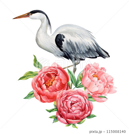 Beautiful heron bird with peonies flowers on white isolated background, watercolor illustration. Bird and peony drawing Beautiful heron bird with peonies flowers on white isolated background, watercolor illustration. Bird and peony drawing 115008140