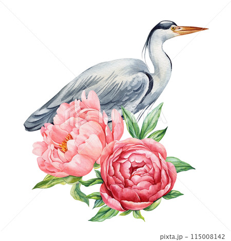 Grey heron bird with peony flowers on white isolated background Bird and peony drawing clipart watercolor illustration. 115008142