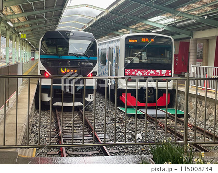 伊豆急行伊豆急下田駅に停まる特急踊り子と普通車 115008234