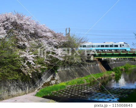 E653系1000番台K71編成水色編成と桜 E653系1000番台K71編成水色編成と桜 115008643