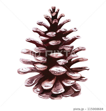 Pine cone, spruce side view monochrome in watercolor illustration on a white background. Hand drawn illustration of pine cone for design of Christmas letters, cards, invitations, wreaths. 115008684