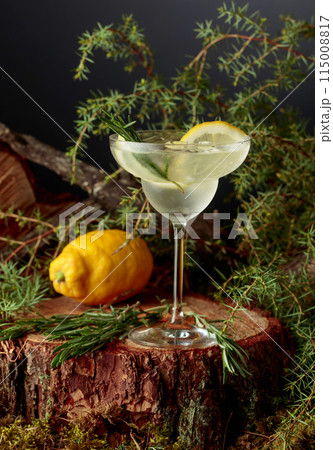 Gin and Tonic cocktail with lemon and rosemary. Gin and Tonic cocktail with lemon and rosemary. 115008817
