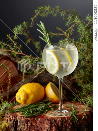 Gin and Tonic cocktail with lemon and rosemary. 115008820