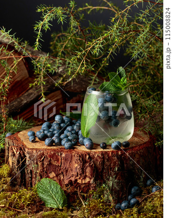 Gin and Tonic cocktail with blueberry and mint. 115008824
