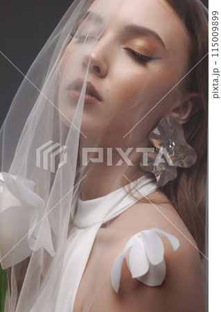 Portrait of a woman in a wedding dress with a veil on her head. Portrait of a woman in a wedding dress with a veil on her head. 115009899