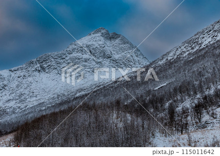 Landscape at the beginning of winter in Gullesfjorden, Lofoten Islands, Norway 115011642