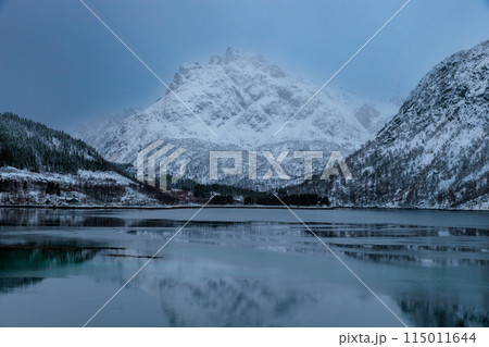 Landscape at the beginning of winter in Gullesfjorden, Lofoten Islands, Norway 115011644