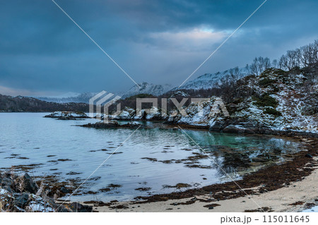 Landscape at the beginning of winter in Gullesfjorden, Lofoten Islands, Norway 115011645
